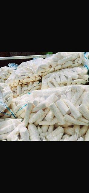 Premium Frozen Cassava Root - Image 4